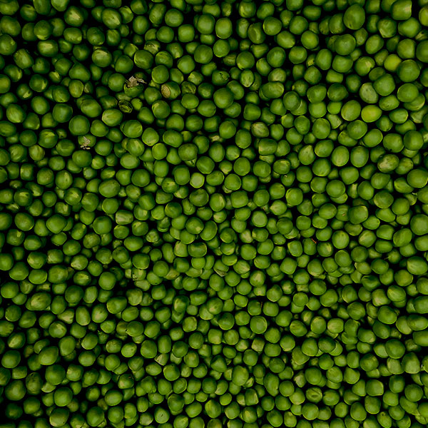 netcare qualitätssicherung